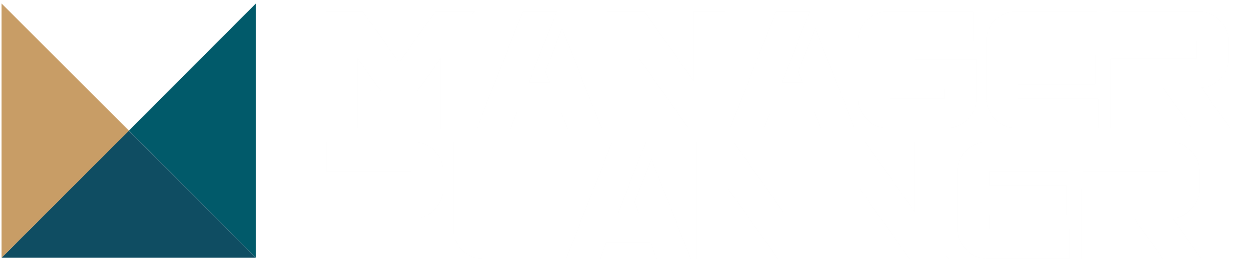 MANAGER PLANNER